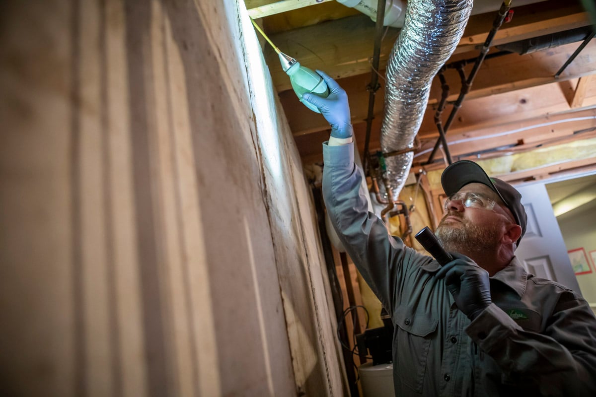 Do I Need Pest Control Inside My House? Answers for Concerned Lehigh